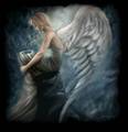 Angel of darkness - fantasy photo