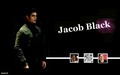 jacob-black - Jacob Black wallpaper