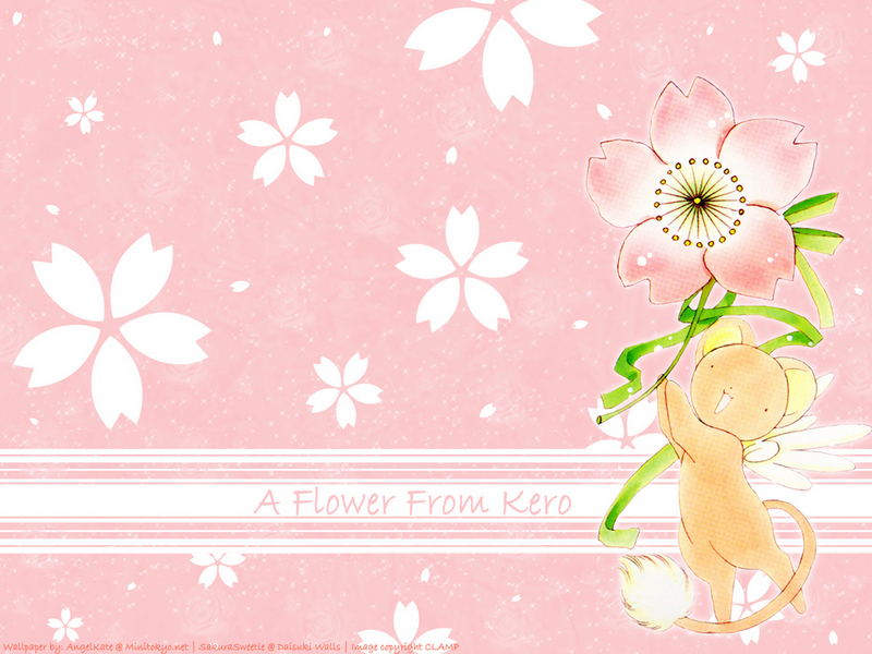 A flower from Kero Cardcaptor Sakura Wallpaper 5022194 Fanpop