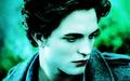 Edward Cullen - robert-pattinson wallpaper
