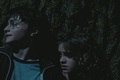 Harry Potter and the Prisoner of Azkaban - harry-potter screencap
