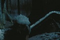 Harry Potter and the Prisoner of Azkaban - harry-potter screencap