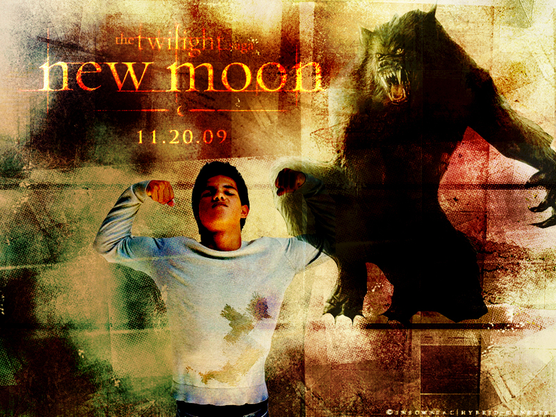 wallpaper twilight new moon. wallpaper twilight jacob. New
