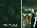 Paul Walker <3 - hottest-actors photo
