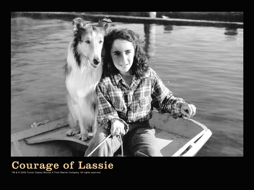  Courage of Lassie