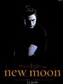 new moon- Edward Cullen - twilight-series photo