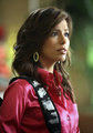 D.H - desperate-housewives photo