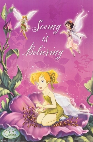 Disney Fairies Seeing is Believing