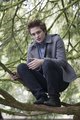 Edward Cullen - team-twilight photo