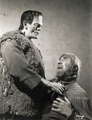 Karloff and Lugosi - classic-movies photo