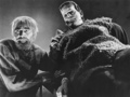 Karloff and Lugosi - classic-movies photo