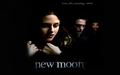 New Moon *-* - twilight-series photo