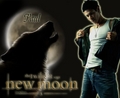 Paul (New Moon) - twilight-series fan art