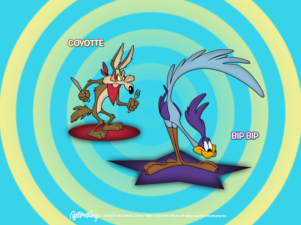 Road Runner & Wile E. Coyote - Looney Tunes Wallpaper (5226554) - Fanpop