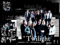 team-twilight - <3 Twilight Wallpapers i found wallpaper