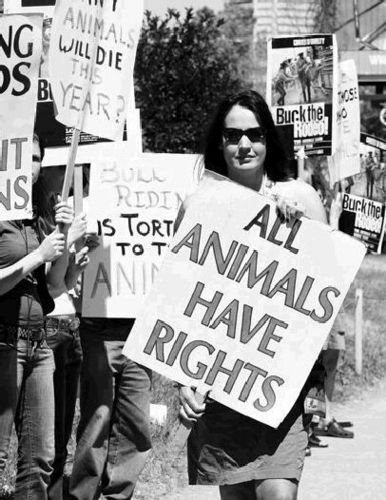 Права животных