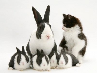  BEWARE OF IDENTITY THEFT THIS EASTER