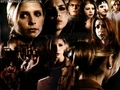 Buffy/SMG Wallpaper : ) - sarah-michelle-gellar wallpaper