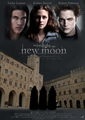 New Moon Fan Poster - twilight-series fan art