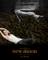 New moon - twilight-series photo