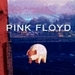 Pigs (Three Different Ones) - pink-floyd icon