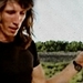 Pink Floyd: Live in Pompeii - pink-floyd icon