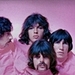 The Pink Floyd  - pink-floyd icon