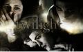 Twilight <3 - twilight-series photo
