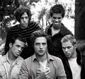 Twilight Boys...x - twilight-series photo