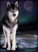 Wolf under the moon - wolves icon