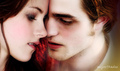 all about twilight - twilight-series photo