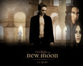 new moon poster - twilight-series fan art