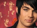 american-idol - Adam Lambert wallpaper