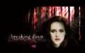 twilight-series - BELLA CULLEN Breaking Dawn♥♥!! wallpaper