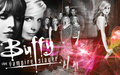 Buffy the Vampire Slayer - buffy-the-vampire-slayer photo