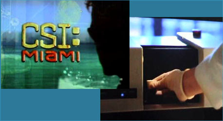  CSI - Scena del crimine Miami