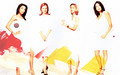 desperate-housewives - DH wallpaper