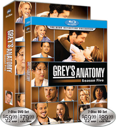  Grey's Anatomy Season 5 Box Set