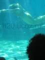Indiana Evans - h2o-just-add-water photo
