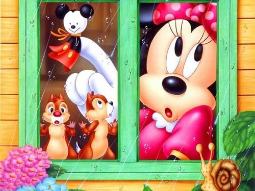  Minnie topo, mouse wallpaper