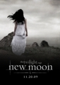 New moon - twilight-series fan art