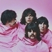 Pink Floyd - pink-floyd icon