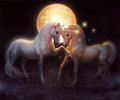 Moondance - unicorns photo