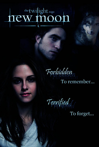  New Moon Movie Poster (fanmade)