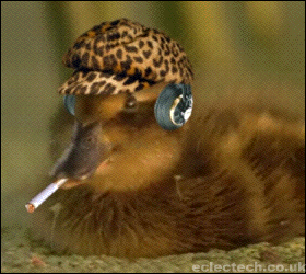 Do The Duck Bop!  (animated)