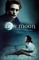 Fan Made Poster. - new-moon-movie fan art