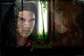 Jake and Nessie Banner - jacob-black-and-renesmee-cullen photo