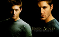 jensen-ackles - Jensen wallpaper