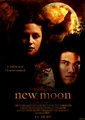 New Moon: It Will Be Like I Never Existed - twilight-series fan art