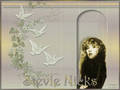 Stevie Nicks - stevie-nicks fan art